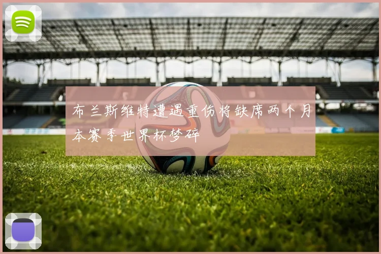 布兰斯维特遭遇重伤将缺席两个月本赛季世界杯梦碎