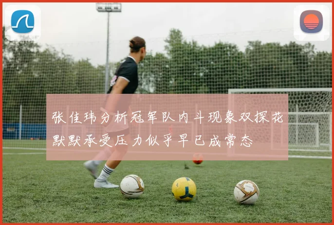 张佳玮分析冠军队内斗现象双探花默默承受压力似乎早已成常态