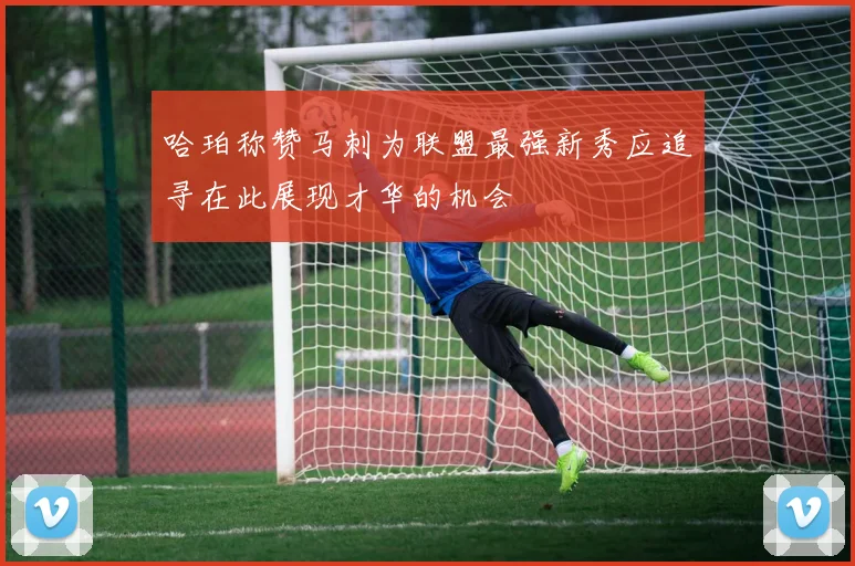 哈珀称赞马刺为联盟最强新秀应追寻在此展现才华的机会