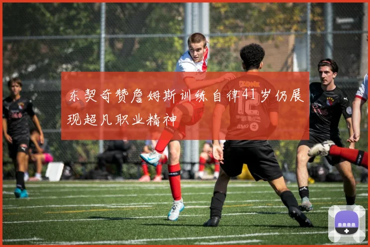 东契奇赞詹姆斯训练自律41岁仍展现超凡职业精神