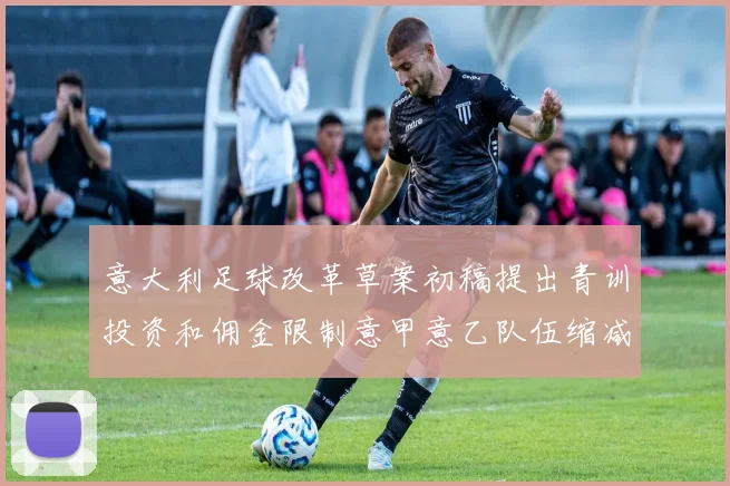 意大利足球改革草案初稿提出青训投资和佣金限制意甲意乙队伍缩减至18队
